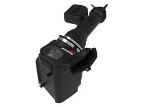 Momentum GT Pro DRY S Air Intake System 50-70058D
